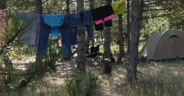 夏のテントで野生の休暇中に松林でロープで乾燥している服 — ストック動画