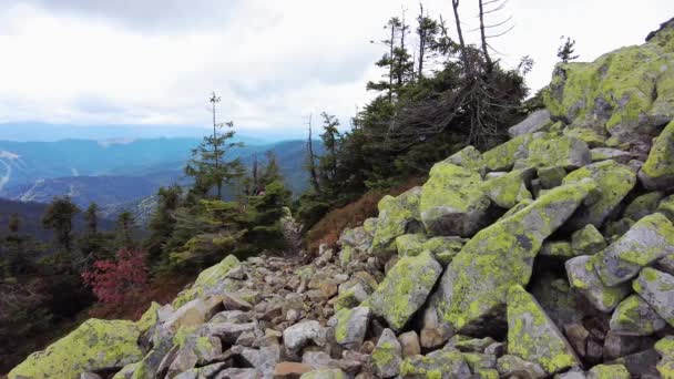 Eine Frau Erwandert Einen Berg Über Felsen Sie Benutzt Trekkingstöcke — Stockvideo