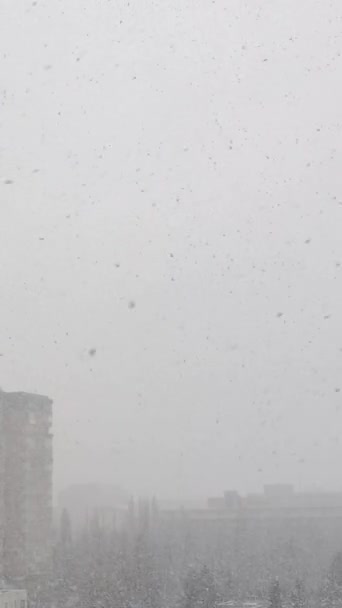 Flocos Neve Graciosamente Caem Câmera Lenta Formando Fundo Vídeo Vertical — Vídeo de Stock