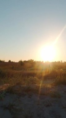 Yaz sabahının erken saatlerinde bozkırda gün doğumu. Dikey Video