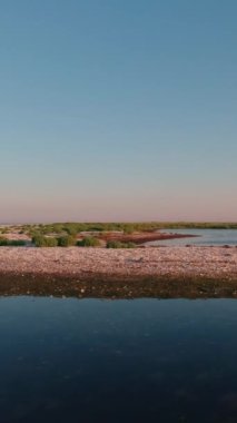 Kinburn Spit Bölgesel Peyzaj Parkı, Ukrayna 'nın güzel manzaraları. Dikey Video