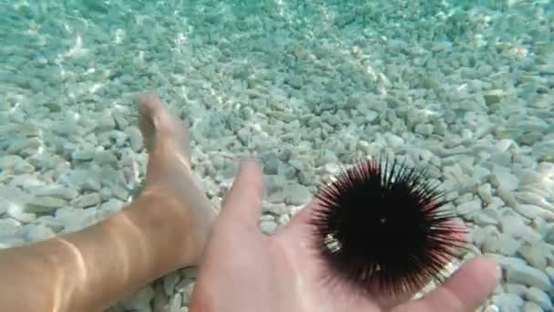 Zee Egel Palm Van Iemands Hand Onder Water Een Zonnige — Stockvideo