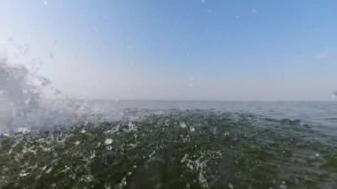 Denizde tatillerinin ilk gününde bir erkek ve bir kadın suya dalar. Arkalarından su sıçratıyorlar. Ağır çekim. Su oyunları. Tatil ve eğlence.