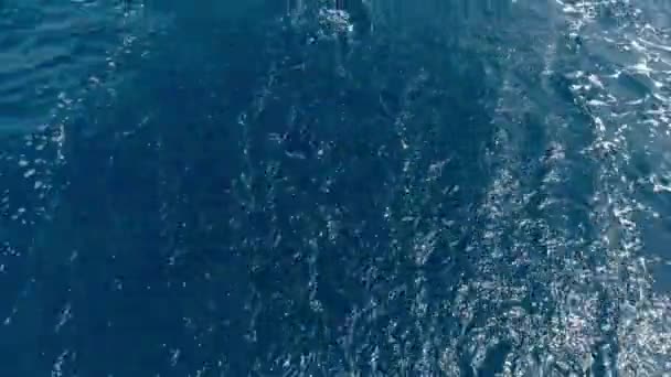 Słoneczny Letni Dzień Można Zobaczyć Morze Rufą Poruszającego Się Jachtu — Wideo stockowe