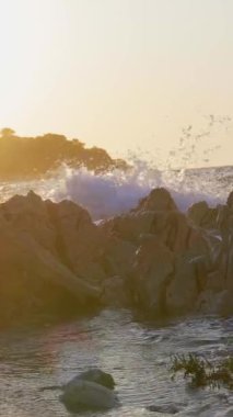 Yazın gün batımında deniz sörfü. Dikey Video