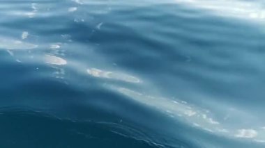 Güneşli yaz gününde denizde yelken açarken deniz manzarası