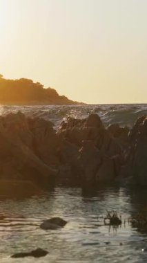 Yazın gün batımında sörf. Dikey Video