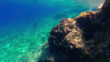 Güneşli bir yaz gününde Adriyatik Denizi 'nin dibinde. 