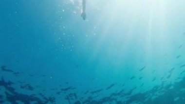 Bir adam gökyüzü ve güneşin arka planında yüzüyor. Suyun altından ateş etmek.