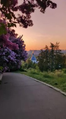 Botanik Bahçesi 'nde sabah sahnesi. Çiçek açan leylakların arasında bir kilise duruyor. Kyiv, Ukrayna. Dikey video