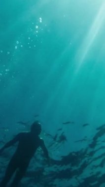 A man is floating on the surface of the water against the background of the sky and the sun. Underwater view. Vertical Video