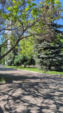 Cityscape, spring sunny day in the park. Vertical video