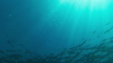 Suyun altından gökyüzü ve güneş manzarası. Yaz güneşli bir gün