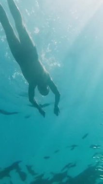 Bir adam yüzeyde yüzüyor ve sonra denizin derinliklerine dalıyor. Suyun altından bak. Dikey Video