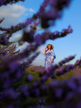 Şapkalı bir kadın, batan güneşin sıcacık parıltısıyla lavanta tarlasının güzelliğinin tadını çıkarırken huzurlu bir akşam başlıyor.