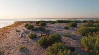 Kinburn Spit yaz sabahının erken saatlerinde. Steppe bitki örtüsü ve rezervi