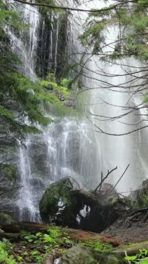 Bereketli yeşillik ve el değmemiş doğa ile çevrili vahşi bir ormanda güzel bir şelale çağlıyor.