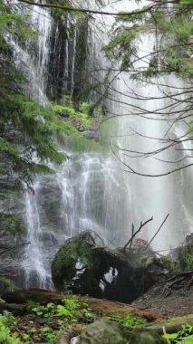 Bereketli yeşillik ve el değmemiş doğa ile çevrili vahşi bir ormanda güzel bir şelale çağlıyor.