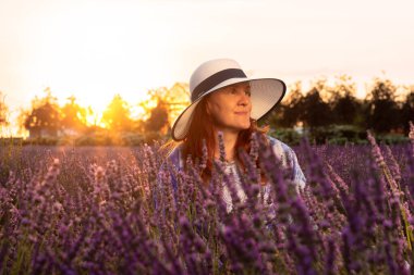 Mavi elbiseli bir bayan çiçek açan bir lavanta tarlasında huzur bulur. Yumuşak bir akşam ışığı sahnenin dingin güzelliğini artırır.