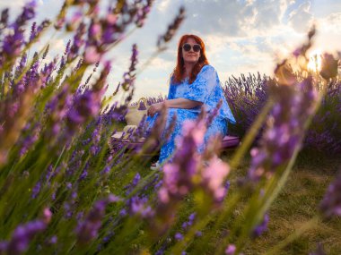 Mavi giyinmiş bir kadın, çiçek açan lavanta çiçeklerinin arasında huzur bulur. Doğal güzelliğin ve sakinliğin resimsel bir sahnesini yaratır.