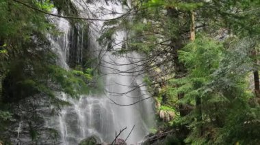 Uzak bir orman bölgesinde, sık yapraklar ve doğal ihtişam ile çevrili, huzurlu bir şelale.