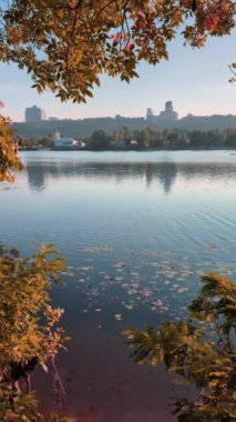 Sarı yapraklar Kyiv 'in sağ kıyısını kaplarken, Dnipro Nehri sonbaharın çarpıcı renklerini yansıtır. Dikey Video