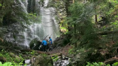 Turistler uzak ormandaki büyük bir şelaleyi seyrediyor. Dağınık dallar vahşi ormanı aydınlatıyor.