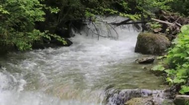 İlkbaharın başlarında Tam Akış Dağ Akıntısı