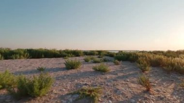 Kinburn Spit yaz sabahının erken saatlerinde. Steppe bitki örtüsü ve rezervi