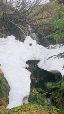 Dağlarda karla kaplı bir dere, kar erimeye başlarken bol bol eriyen bahar suyuyla.