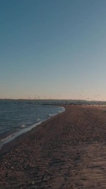 Sabahın erken saatlerinde deniz kıyısında koşarken, ilk bakışta. Kinburn Bölünmesi. Dikey Video