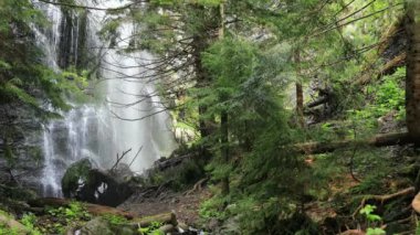Bereketli yeşillik ve el değmemiş doğa ile çevrili vahşi bir ormanda güzel bir şelale çağlıyor.