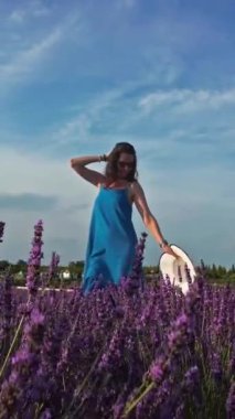 Kadın lavanta sıralarında huzur içinde yürüyüp geçerken şapkasının hoş kokulu çiçeklere hafifçe dokunmasına izin veriyor. Dikey Video