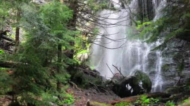 Gözlerden uzak bir ormanda büyüleyici bir şelale kurulur vahşi doğanın huzur dolu güzelliğini gözler önüne serer. Uzaklaştır