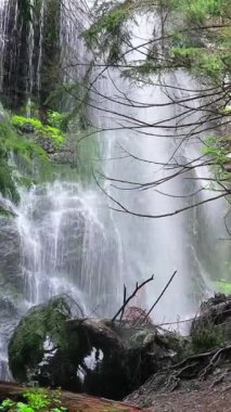 Çarpıcı şelale, el değmemiş bir ormanın arka planına dayanır ve nefes kesici bir doğal manzara sağlar. Uzaklaştır