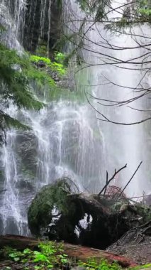 Gözlerden uzak bir ormanda büyüleyici bir şelale kurulur vahşi doğanın huzur dolu güzelliğini gözler önüne serer. Uzaklaştır