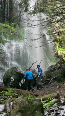 Turistler uzak ormandaki büyük bir şelaleyi seyrediyor. Dağınık dallar vahşi ormanı aydınlatıyor.