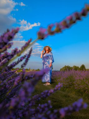 Geniş kenarlı şapka ve mavi elbisesiyle dingin bir kadın günbatımında lavanta tarlasının huzurundan zevk alır. Huzurlu kırsal hayatın özünü yakalar.