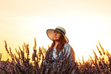 Şapkalı bir kadın, batan güneşin sıcacık parıltısıyla lavanta tarlasının güzelliğinin tadını çıkarırken huzurlu bir akşam başlıyor.