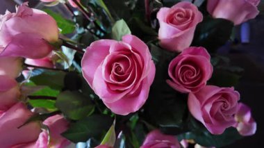 Yukarıdan çekilen güzel pembe gül buketi hassas taç yaprakları ve mükemmel simetriyi gösteriyor. Kompozisyon boyunca merkezi çiçeği odak noktası olarak tutan kamera teknikleri için ideal.