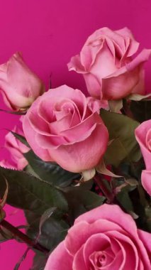 Yeşil yapraklı pembe güllerin zarif bir düzeni parlak fuşya arka planında fotoğraflanmış, hassas taç yapraklarını ve yumuşak dokuları mükemmel romantik bir çiçek kompozisyonunda yakalıyor. Dikey Video