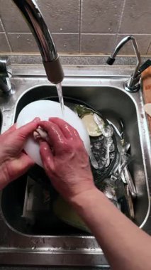 Mutfak lavabosunda akan suyla beyaz bir tabak yıkayan ellerin yakın çekimi. Paslanmaz çelik lavabo çeşitli bulaşıklar içerirken ahşap kesme tahtası ve kumaş yakında dinleniyor ve günlük temizlik rutinini gösteriyor. Dikey Video