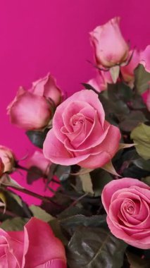 Yeşil yapraklı pembe güllerin zarif düzenlemesi parlak fuşya arkaplanına karşı sarma tekniği kullanılarak fotoğraflandı, çiçek kompozisyonunda eşsiz açılardan narin taç yaprakları sergilendi. Dikey Video