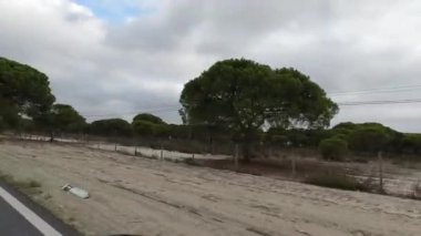 Vasco da Gama Köprüsü yakınlarındaki hareket halindeki bir araçtan alınan kumlu toprakla kaplı bir çam ormanı manzarası bulutlu bir gökyüzü altında doğal çevreyi gösteriyor.