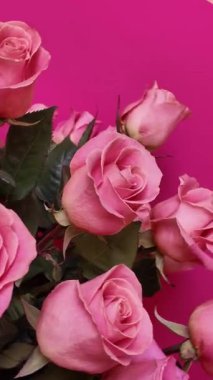 Yeşil yapraklı pembe güllerin zarif bir düzeni parlak fuşya arka planında fotoğraflanmış, hassas taç yapraklarını ve yumuşak dokuları mükemmel romantik bir çiçek kompozisyonunda yakalıyor. Dikey Video