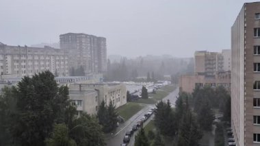 Şehir merkezinde yoğun yağmur var. Park halindeki arabalar, yeşil ağaçlar, ıslak yollar ve modern binalar.