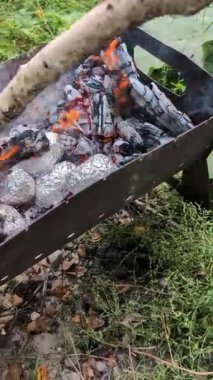 Kömür ve alevlerle ızgara, açık havada bol yeşillikte pişmiş folyo, barbekü konsepti, yaz partisi, köy tazeliği ve enerji.