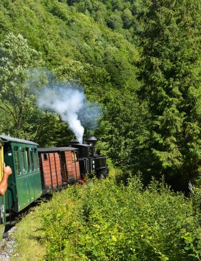 Viseu de Sus, Maramures, Romania - Steam train Mocanita from North Romania