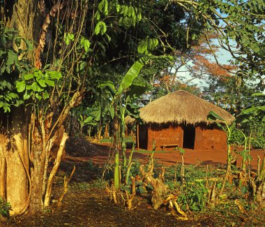 Uganda 'nın Buikwe Bölgesi' ndeki köy, Doğu Afrika 'daki geleneksel Afrika kulübeleri, Uganda