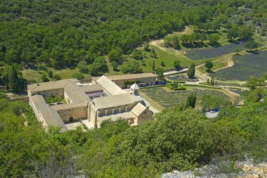 Senanque 'nin Notre Dame Manastırı Gordes, Provence, Fransa yakınlarındaki çiçek açan lavanta tarlaları arasında geçiyor.